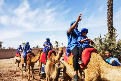Marrakech: Camel Ride in the Oasis Palmeraie with Hotel Pickup