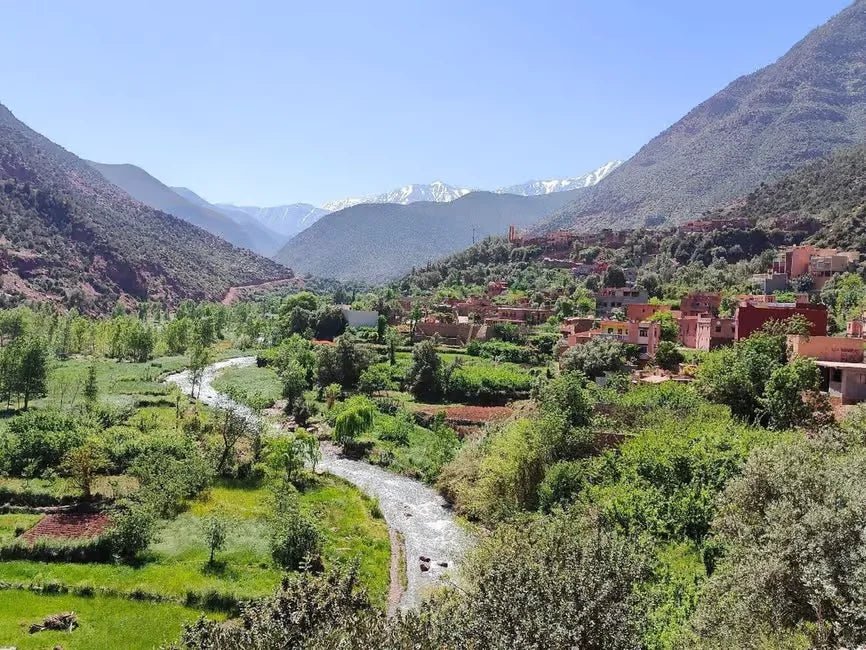 Marrakech: Day Trip to Ourika Valley with Waterfalls, Berber Villages and Lunch