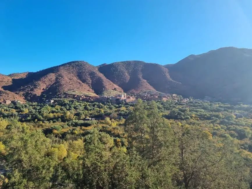 Marrakech: Day Trip to Ourika Valley with Waterfalls, Berber Villages and Lunch