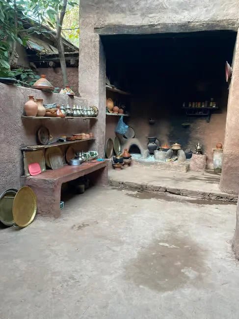 Marrakech: Full - Day Tour to Ourika Valley, Atlas Mountains and Waterfalls
