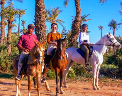 Marrakech: Horseback Riding Tour in Palmeraie Oasis with Hotel Pickup