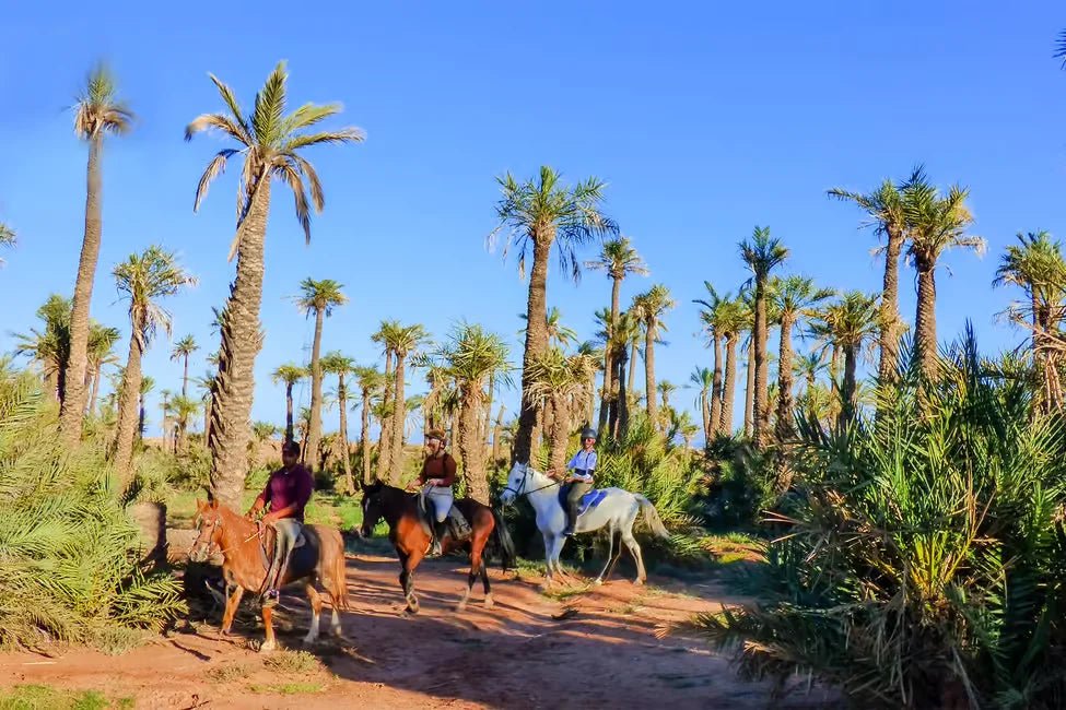 Marrakech: Horseback Riding Tour in Palmeraie Oasis with Hotel Pickup