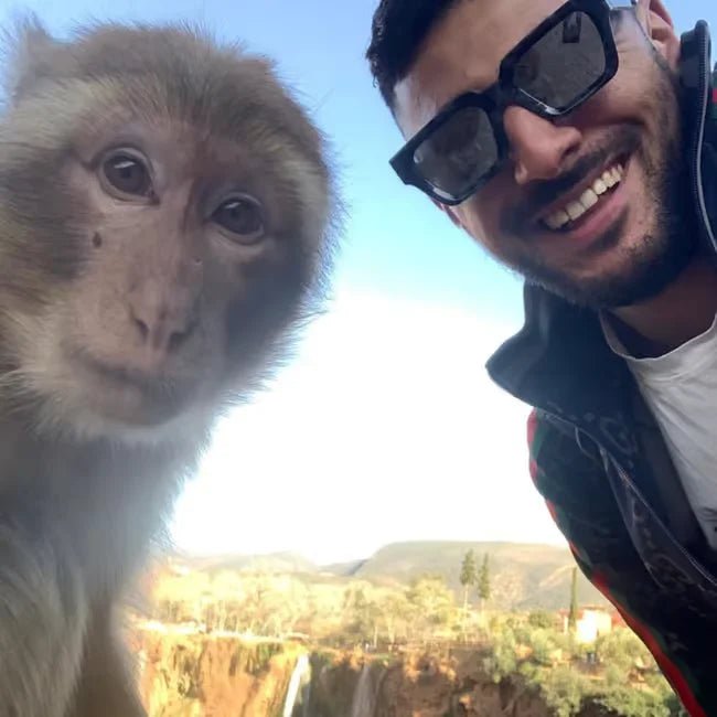 Marrakech: Ouzoud Waterfalls Day Trip with Hike, Boat Ride and Lunch