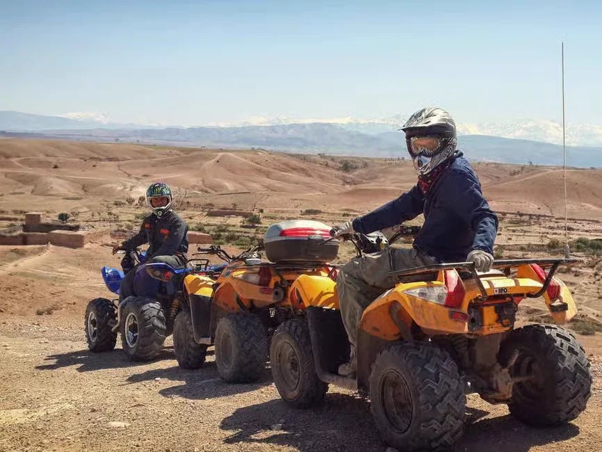 Marrakech: Palmeraie Quad Bike Tour with Berber Village Stop