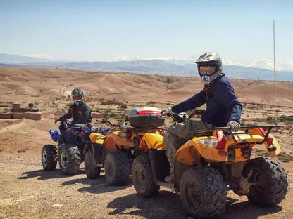 Marrakech: Palmeraie Quad Bike Tour with Berber Village Stop