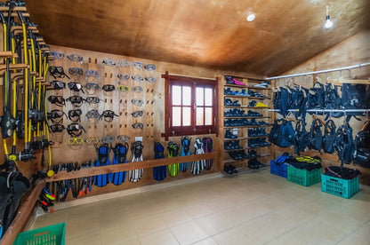 Marsa Alam: Marsa Mubarak Snorkeling Boat Trip with Lunch