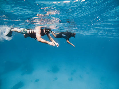 Marsa Alam: Marsa Mubarak Snorkeling Boat Trip with Lunch