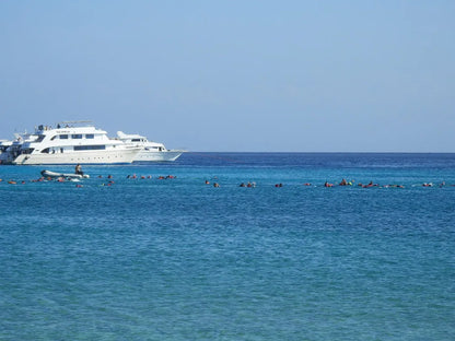 Marsa Alam: Croazieră VIP de elită cu snorkeling și prânz la Turtle Bay