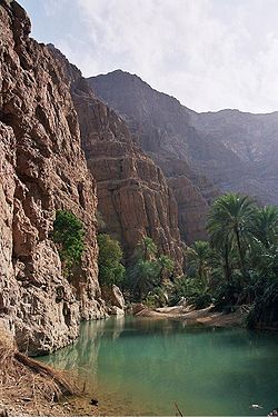 Muscat: 2 - Day Oman Tour to Wadi Shab, Ras Al Jinz Turtles and Wahiba Desert