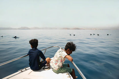 Muscat: 2 - hours Dolphin Watching Boat Tour