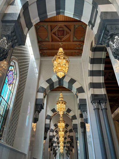 Muscat: City Highlights Guided Tour with Grand Mosque Visit