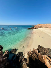 Muscat: Daymaniat Islands Snorkeling Trip