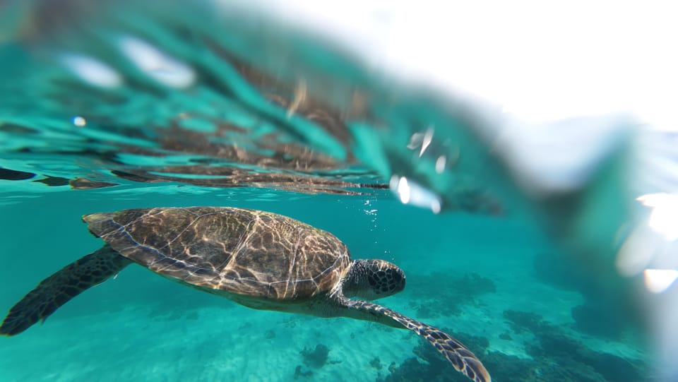 Muscat: Daymaniat Islands Snorkeling Trip