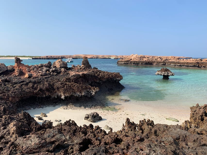 Muscat: Daymaniat Islands Snorkeling Trip