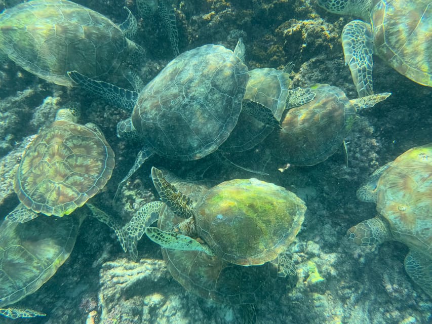 Muscat: Daymaniat Islands Snorkeling Trip