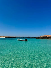 Muscat: Daymaniat Islands Snorkeling Trip