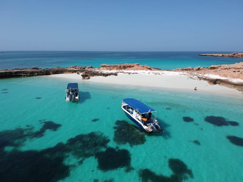 Muscat: Daymaniyat Island Snorkeling Trip with Turtles and Coral Reefs