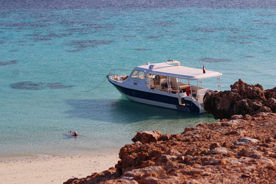 Muscat: Daymaniyat Island Snorkeling Trip with Turtles and Coral Reefs