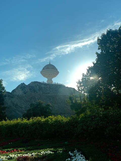 Muscat: Daymaniyat Island Snorkeling Trip with Turtles and Coral Reefs