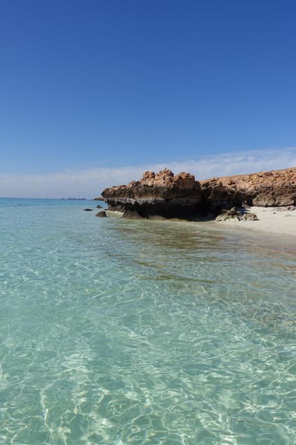 Muscat: Daymaniyat Island Snorkeling Trip with Turtles and Coral Reefs