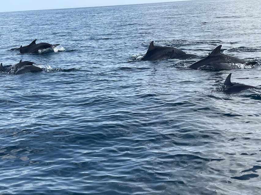 Muscat: Daymaniyat Island Snorkeling Trip with Turtles and Coral Reefs