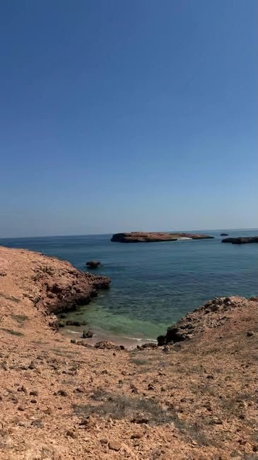 Muscat: Daymaniyat Islands Dolphin Watching and Snorkeling Tour