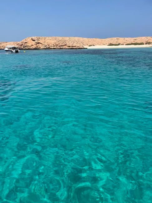 Muscat: Daymaniyat Islands Dolphin Watching and Snorkeling Tour