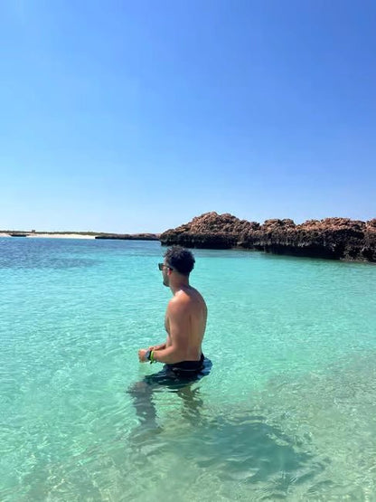 Muscat: Daymaniyat Islands Dolphin Watching and Snorkeling Tour