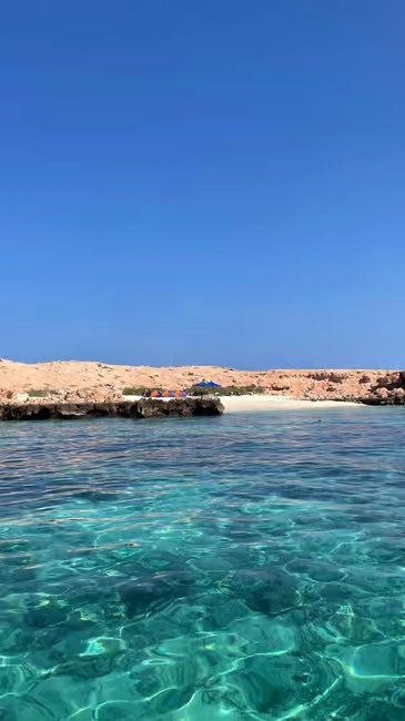 Muscat: Daymaniyat Islands Dolphin Watching and Snorkeling Tour