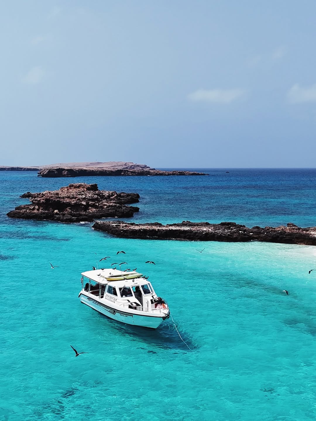 Muscat: Daymaniyat Islands Group Snorkeling Trip