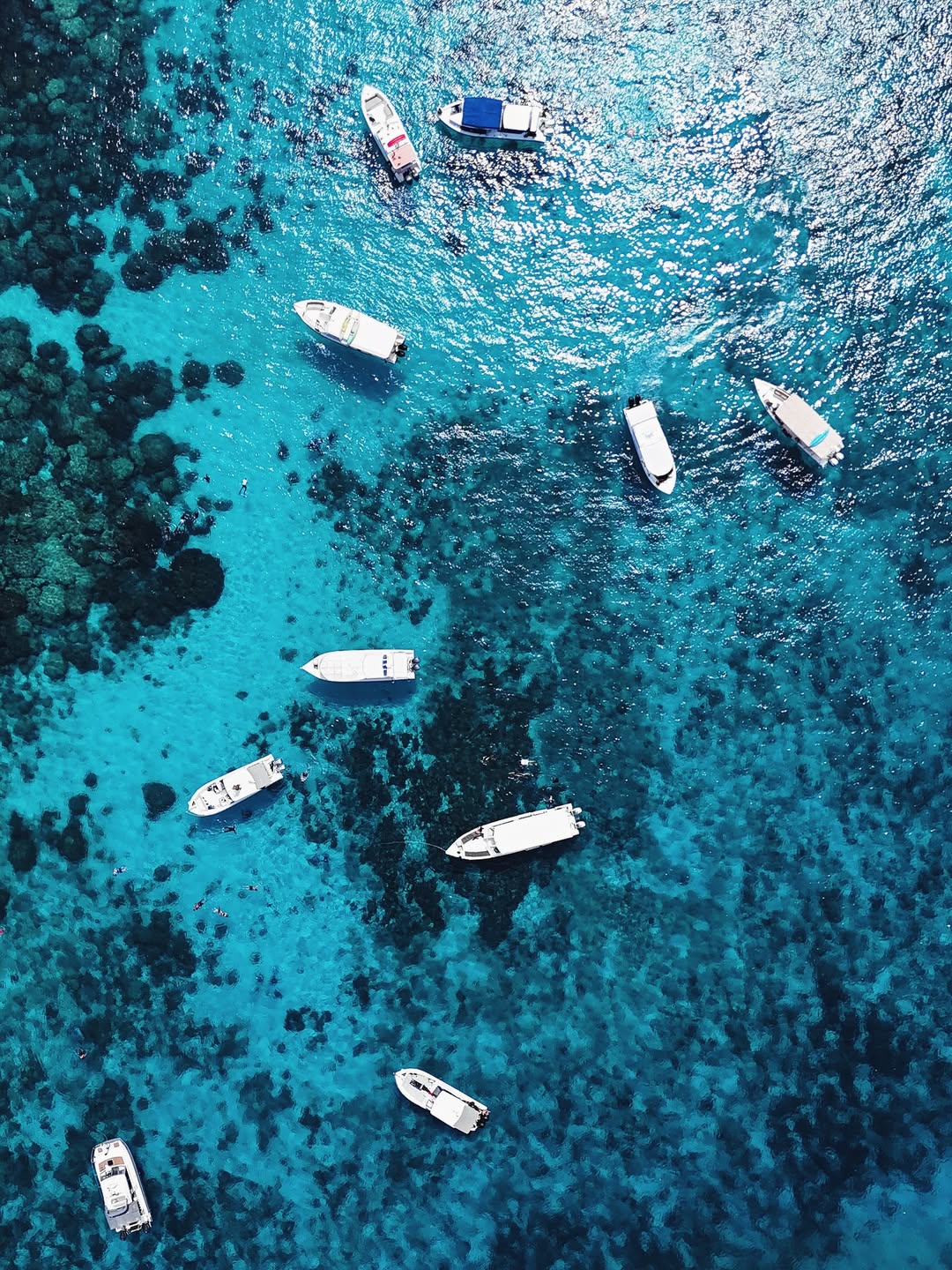 Muscat: Daymaniyat Islands Group Snorkeling Trip