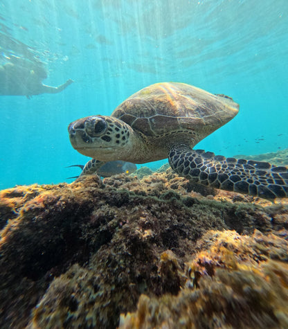 Muscat: Daymaniyat Islands Group Snorkeling Trip