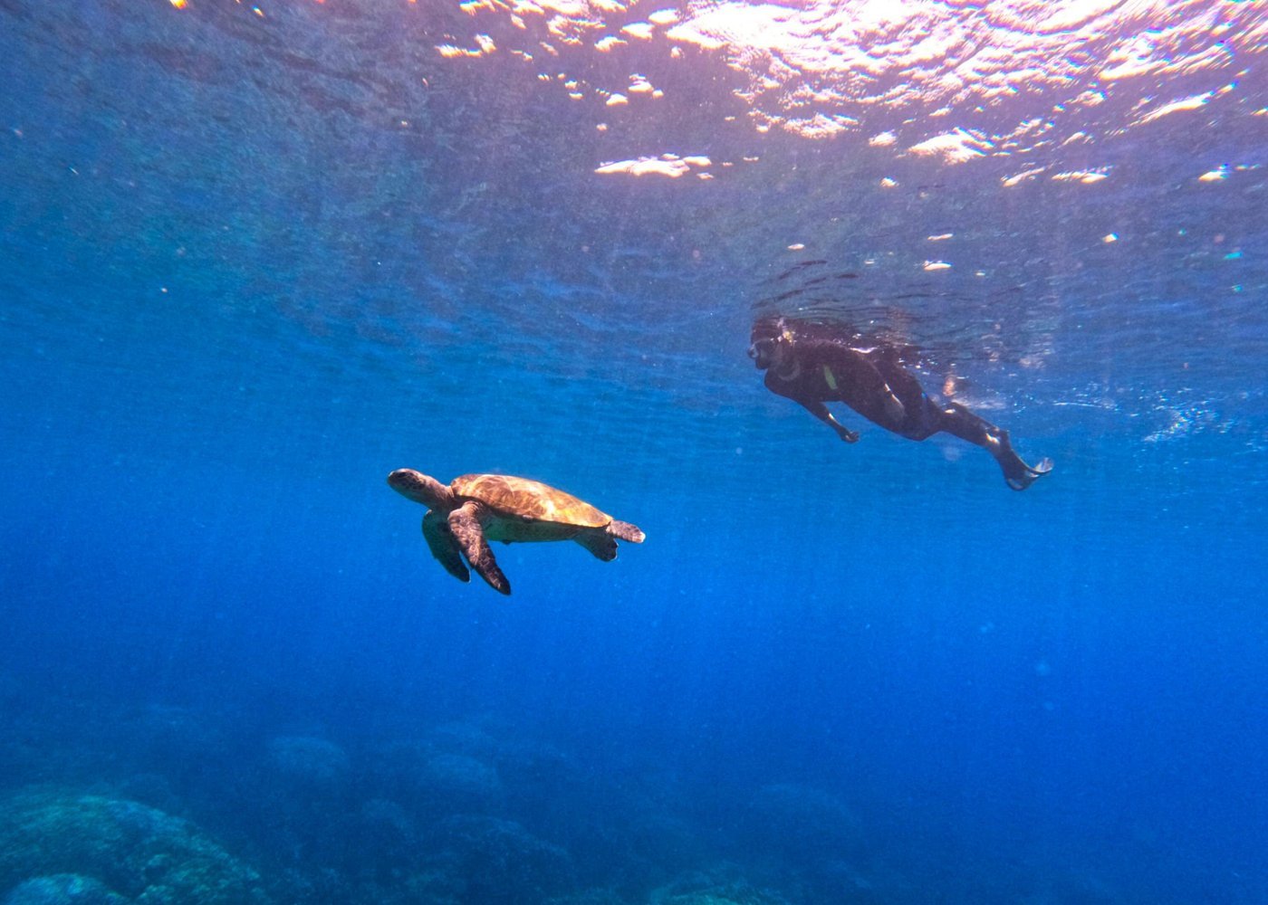 Muscat: Daymaniyat Islands Group Snorkeling Trip