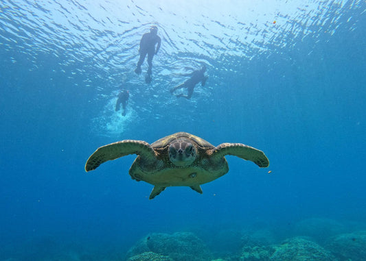Muscat: Daymaniyat Islands Group Snorkeling Trip