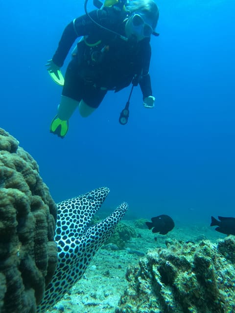 Muscat: Daymaniyat Islands Scuba Diving Trip