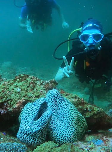 Muscat: Daymaniyat Islands Scuba Diving Trip