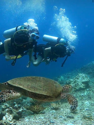 Muscat: Daymaniyat Islands Scuba Diving Trip