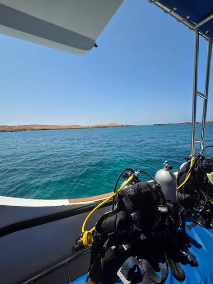 Muscat: Daymaniyat Islands Snorkeling and Try - Dive with BBQ Lunch