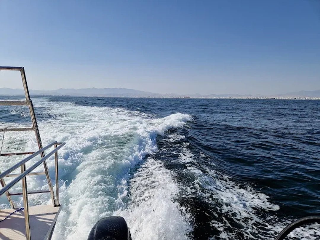 Muscat: Daymaniyat Islands Snorkeling and Try - Dive with BBQ Lunch