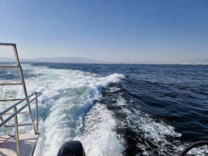 Muscat: Daymaniyat Islands Snorkeling and Try - Dive with BBQ Lunch