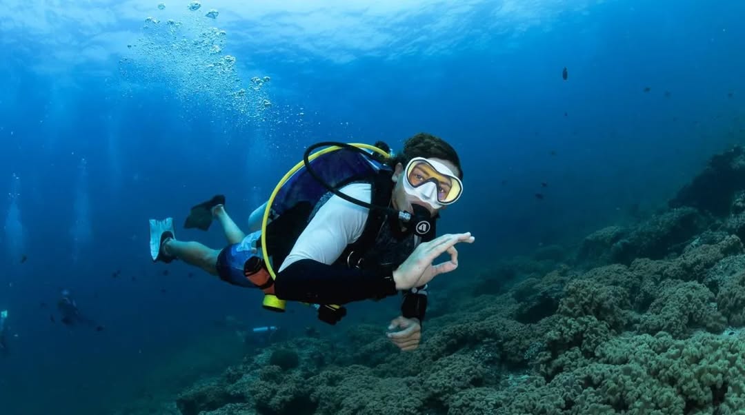 Muscat: Daymaniyat Islands Snorkeling and Try - Dive with BBQ Lunch