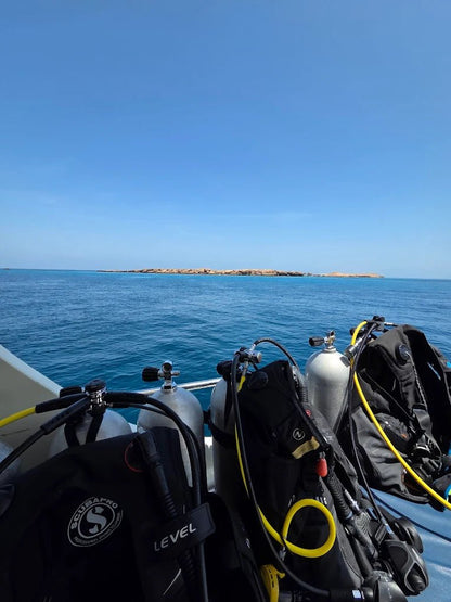 Muscat: Daymaniyat Islands Snorkeling and Try - Dive with BBQ Lunch