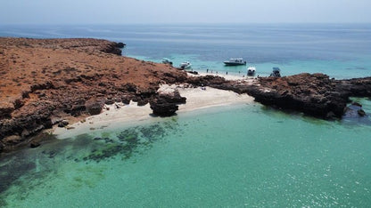 Muscat: Daymaniyat Islands Try Scuba Diving Trip