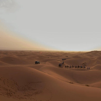 Muscat: Desert Sunset Experience Tour with Pickup