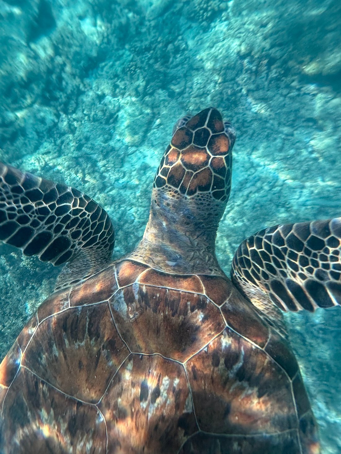 Muscat: Dimaniyat Islands Snorkeling Tour from Al - Seeb Marina
