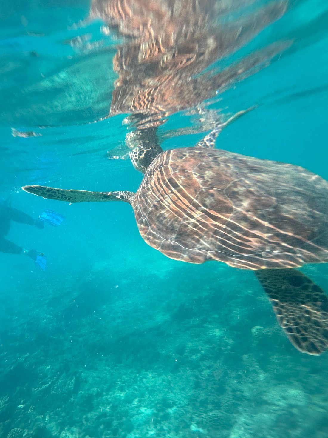 Muscat: Dimaniyat Islands Snorkeling Tour from Al - Seeb Marina
