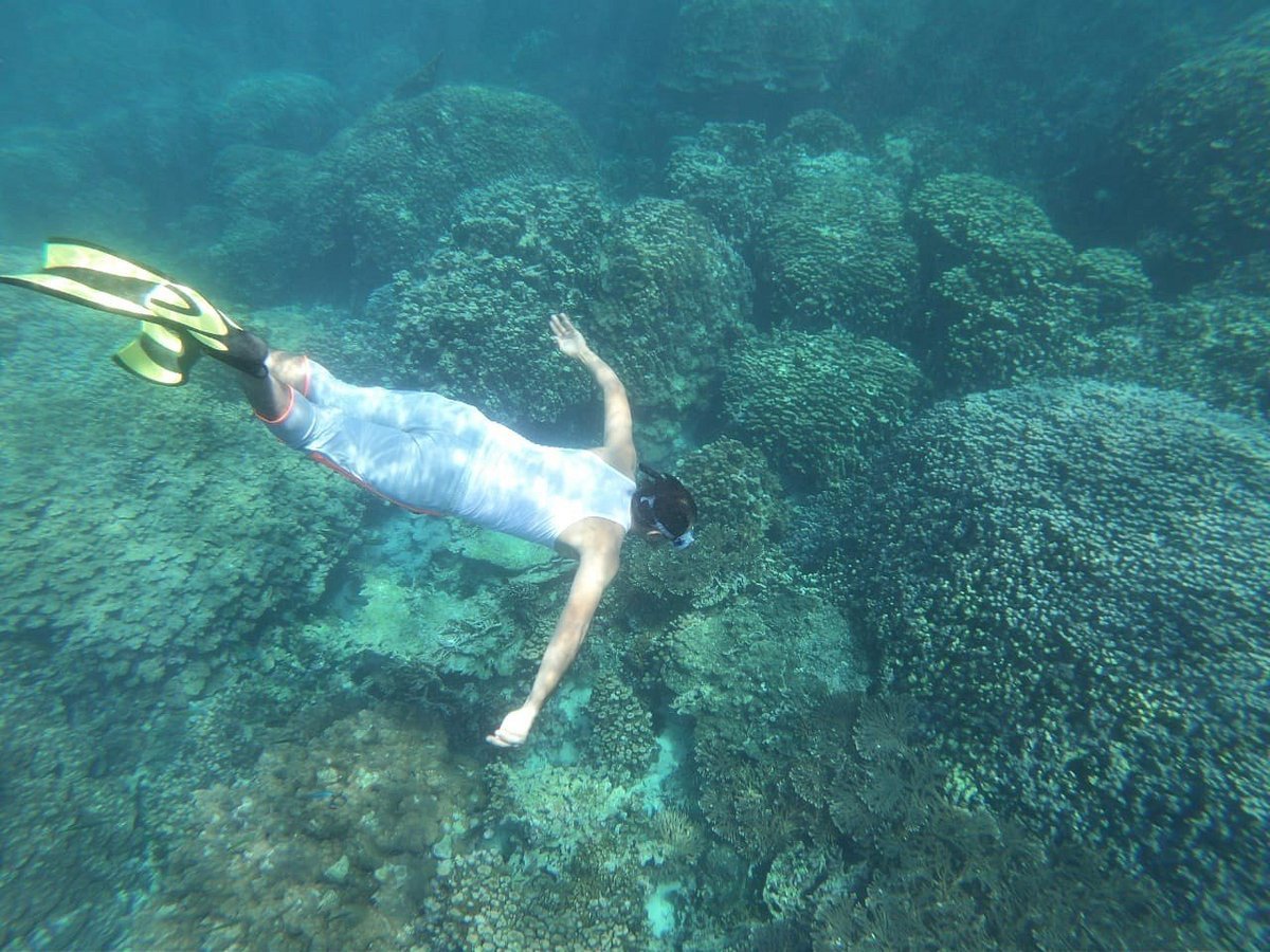 Muscat: Dimaniyat Islands Snorkeling Tour from Al - Seeb Marina