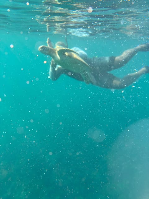 Muscat: Dimaniyat Islands Snorkeling Tour from Al - Seeb Marina