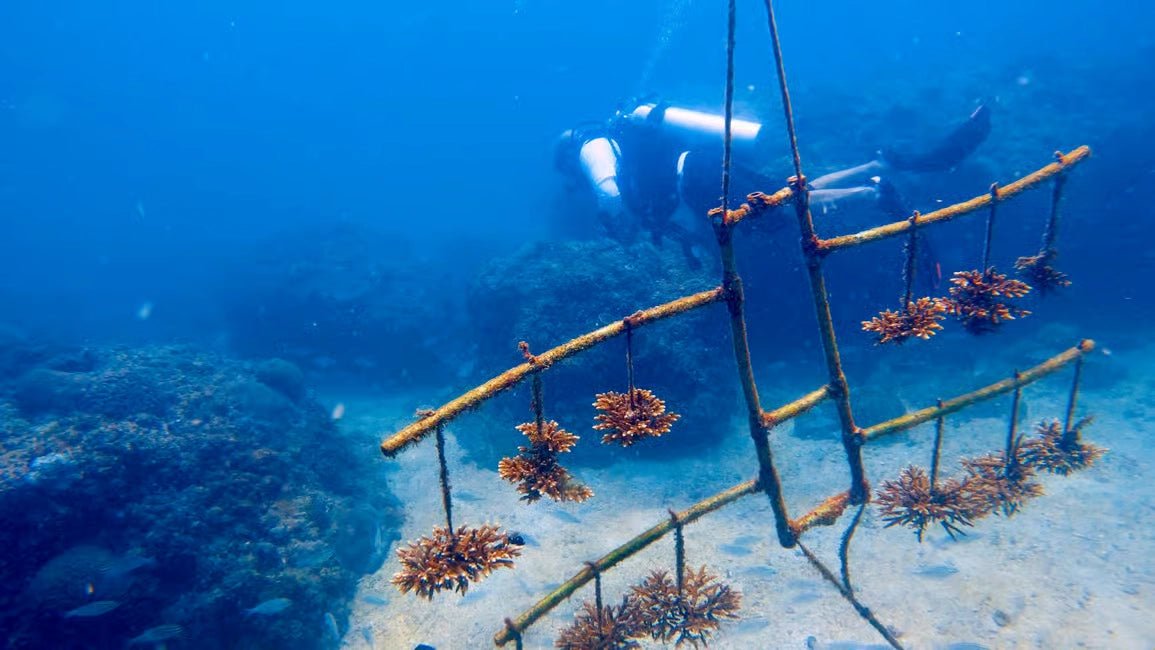Muscat: Discover Scuba Diving Experience at Qantab Beach