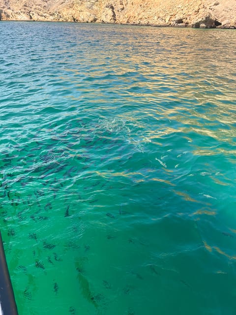 Muscat: Dolphin Watching and Snorkeling Boat Trip